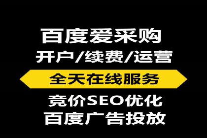 行业专家解析SEM代运营成功案例